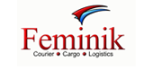 Feminik